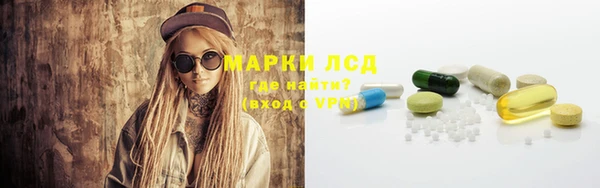 стаф Пестово