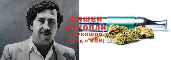 стаф Пестово