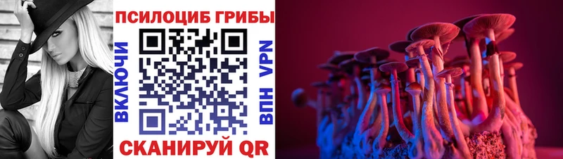 Псилоцибиновые грибы ЛСД  omg ссылки  Болхов 