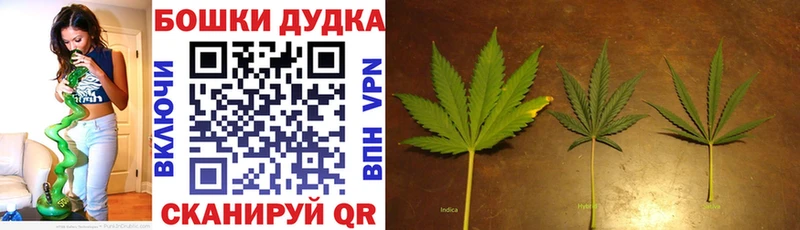 Марихуана Amnesia МЕГА зеркало Болхов